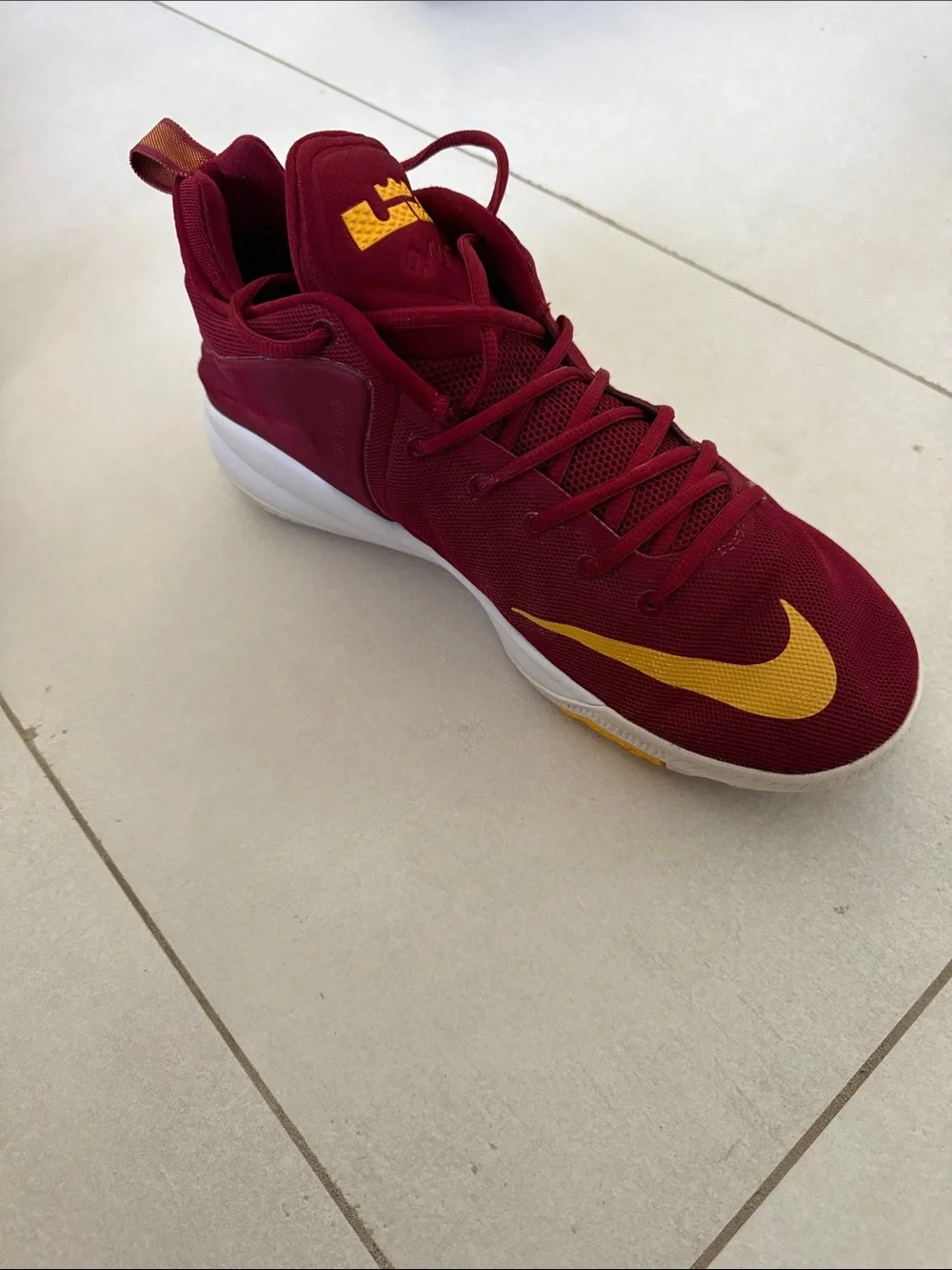 Nike LeBron witness V(5) basketball shoes